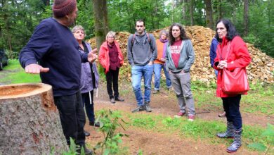 Wahl-Serie: Kapitalismuskritik im Wald