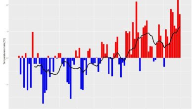 Klimawandel in Eichstätt: rund ein Grad Temperaturanstieg